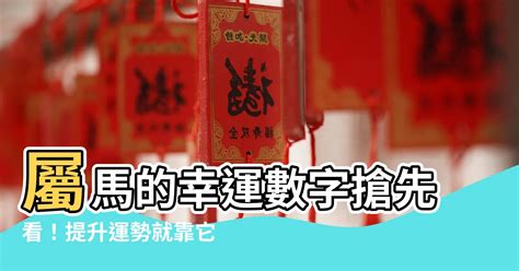 馬的幸運數字|屬馬的幸運數字是什麼？揭開生肖馬的數字奧秘